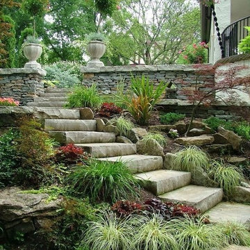 Vibrant Landscape Design