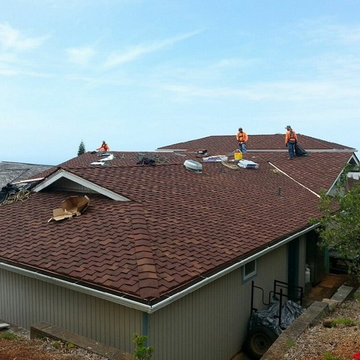 Presidential Shingles in Redwood