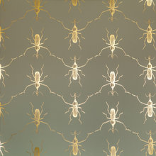 gold - graphit - schwarz