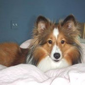 Kristi Miyade's photo
