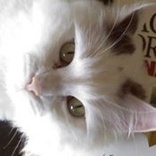 Cindy Emanuel's photo