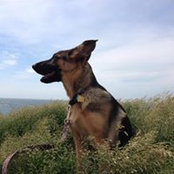 Evan Young's photo