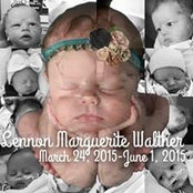 Jenny McCann's photo