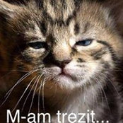 Foto von Bazz Bazz