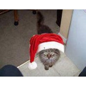 Beverly Hughes's photo