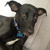 Michelle Lehwald's photo