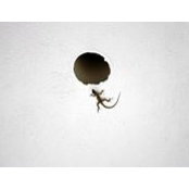 Wendy Flinn's photo