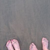 Deb Loy's photo