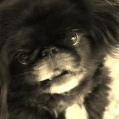 Amy Carr's photo