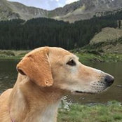 Foto von Pat Rathbun