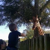 Tonya Wiley's photo