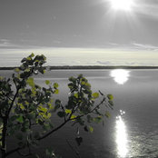 Tionna Hayward's photo