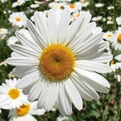 Denise Smith's photo