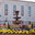 Envirocare Landscape Management, Inc.