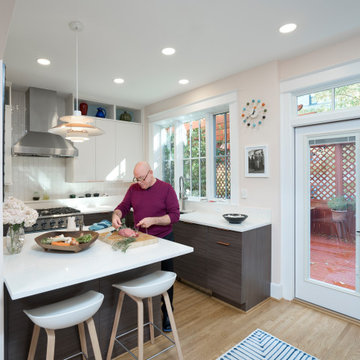 Mid-Century Modern Chef's Kitchen in Lanier Heights