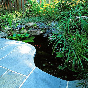 Townhouse Gardens