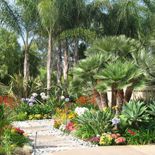 Tropical Garden