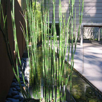Modern Garden