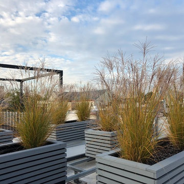 Jersey City Roof Garden