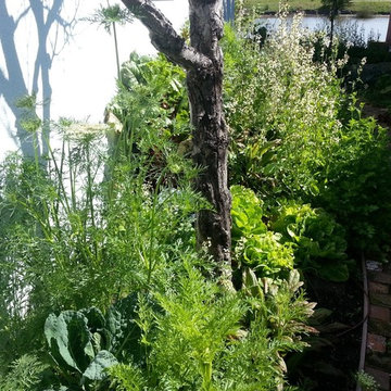 Winter Garden 6