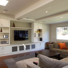 Tv Built ins