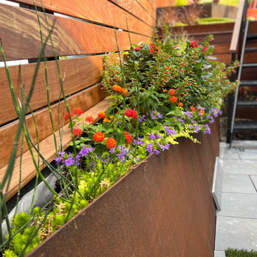 Borough Park Modern Rooftop