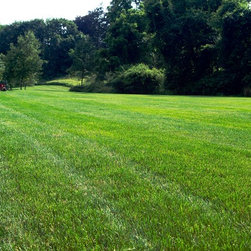 Overseeding - Products