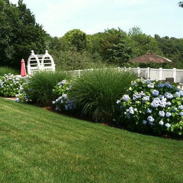 Hydrangea Festival Contest