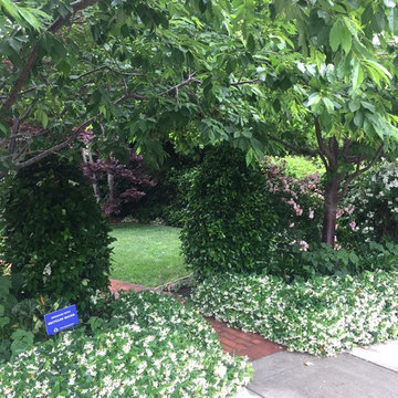 Hidden entry garden