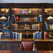 igor's study