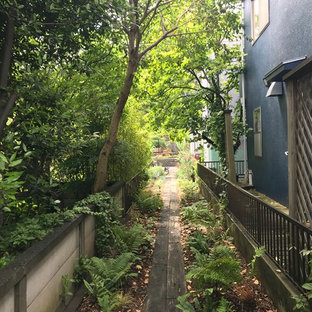 東京都下のミッドセンチュリースタイルのおしゃれな前庭 (私道、半日向) の写真