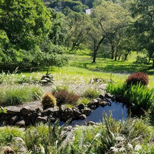 Pond