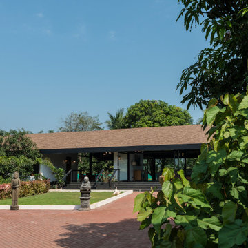 Under The Mango Tree