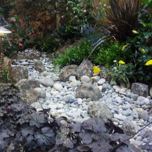 dry creek landscaping