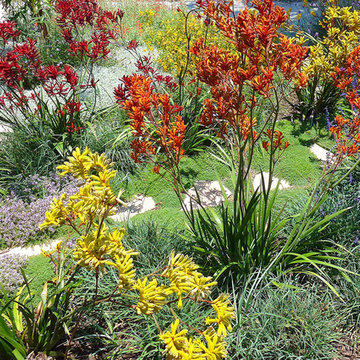 Pollinators Paradise