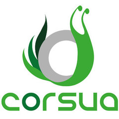 Corsua