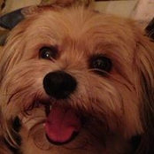 Helen Kenedi's photo
