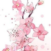 أسماء عبد الفتاح's photo