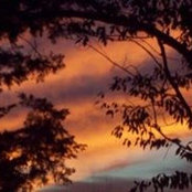 Dee Nickell's photo