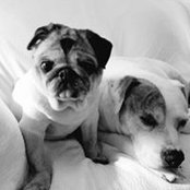 Dalila Brown's photo
