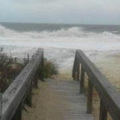 Joni Watt's photo