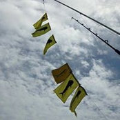 Erich Schneider's photo