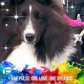Joni Wagner's photo