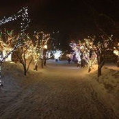 Richard Kriegers foto