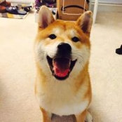 Zoe Wang's photo