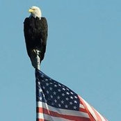 Sharon McCarthy's photo