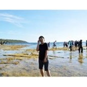 Foto di Dave Chua