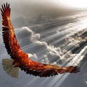 Tony Dolla Makelve's photo