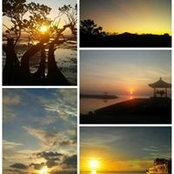Lisnasari Wardhani's photo
