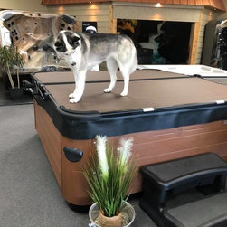 Bullfrog Spas - Hot Tubs